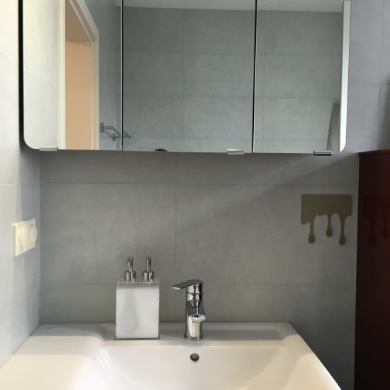 Spiegelschrank