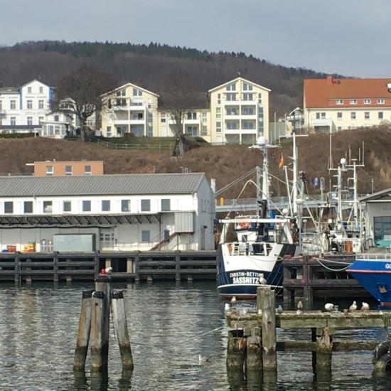 Der Stadthafen
