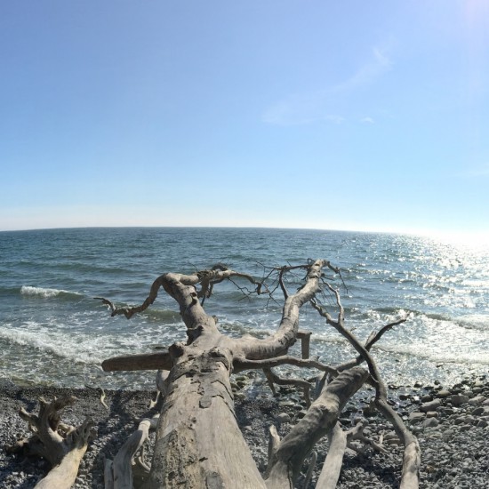 Jasmunder Nationalpark